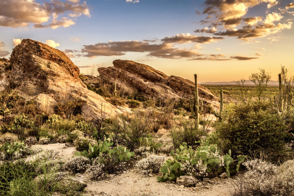 sunset over Javelina Rocks in Saguaro National Park East