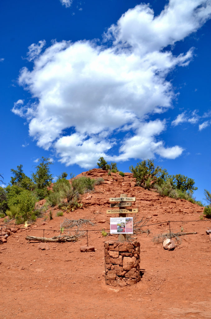 Airport Mesa Vortex Trail in Sedona