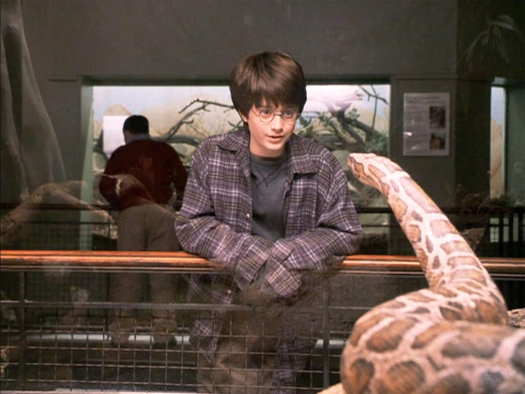 Harry Potter at the Reptile Zoo