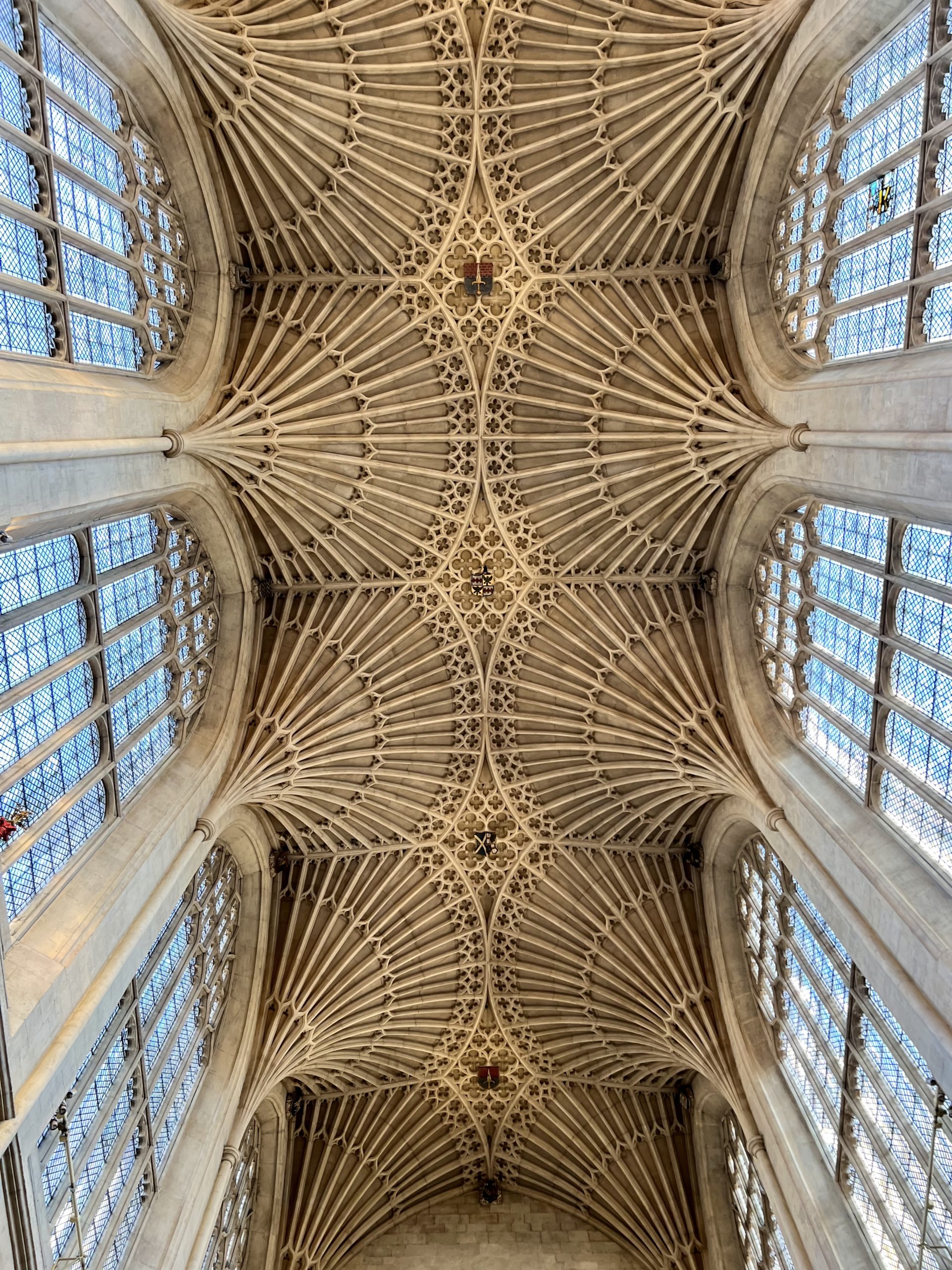 vaulted fan ceiling