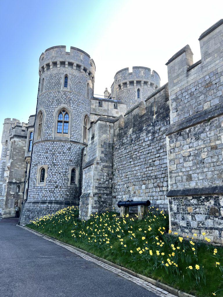 the North Terrace