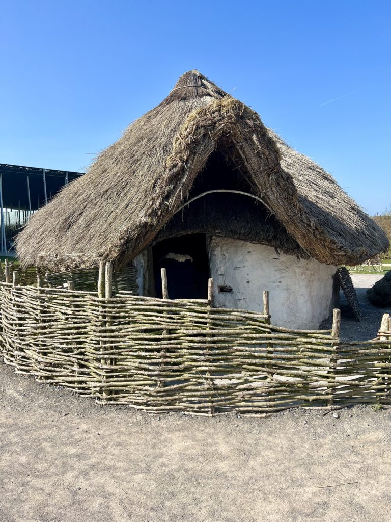reconstruction of a prehistoric hut from Dunnington Walls Henge