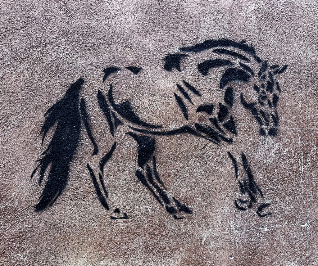 horse drawing on the walls of Siena