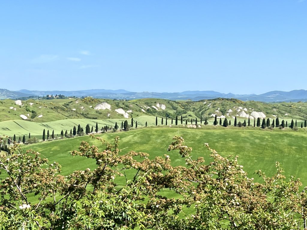 rolling hills near Asciano