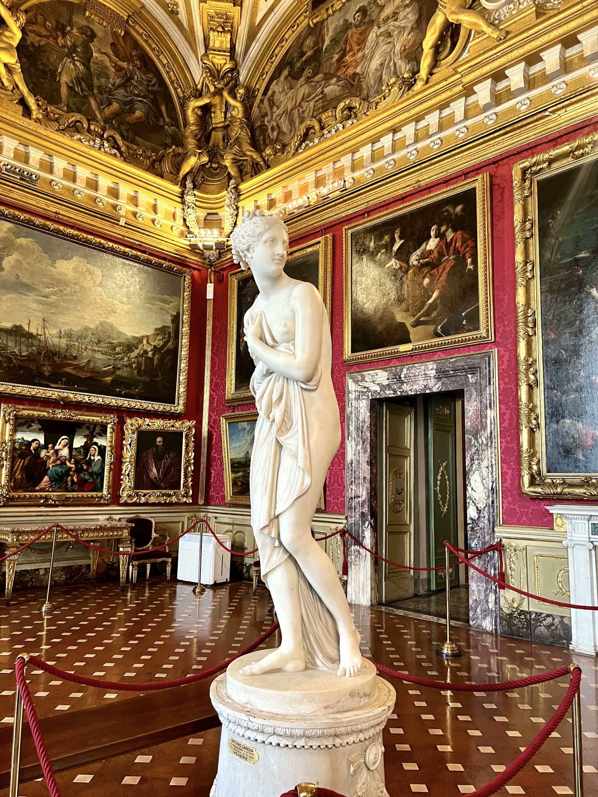 the Medici Venus