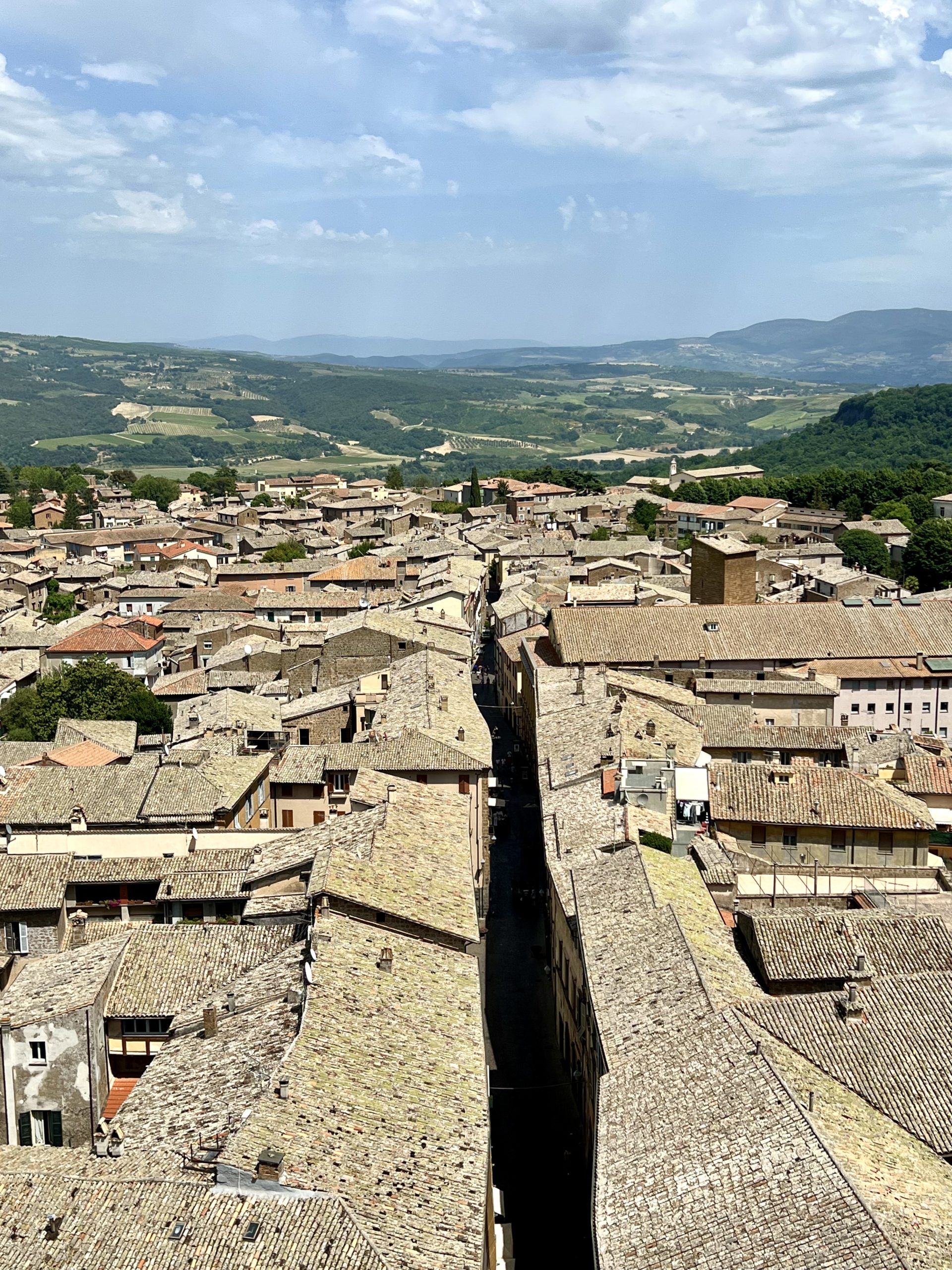 view from the Torre del Morro