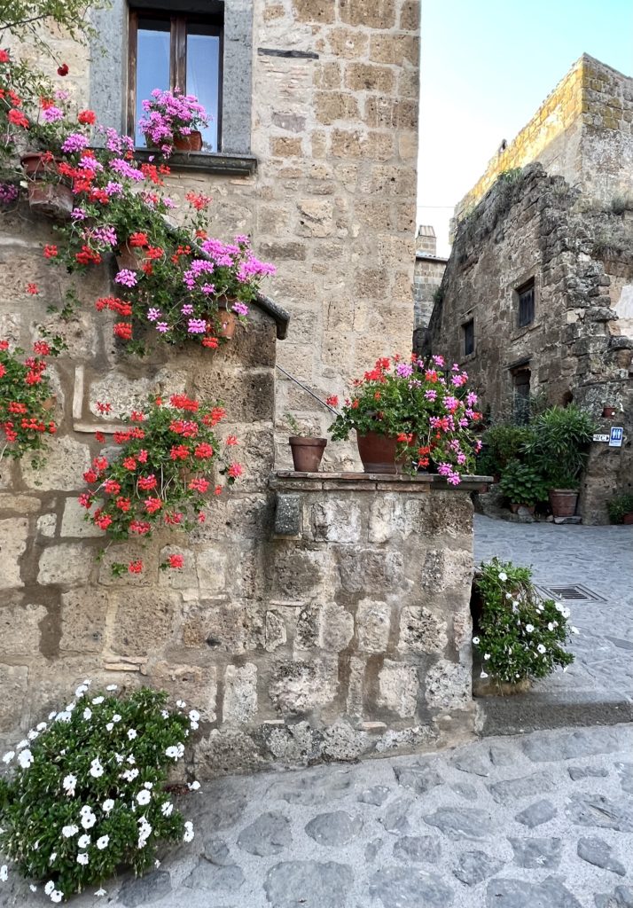 flowers and flower pots