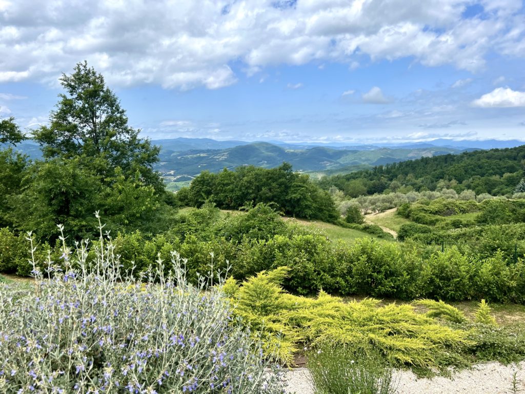 landscapes near Umbertide