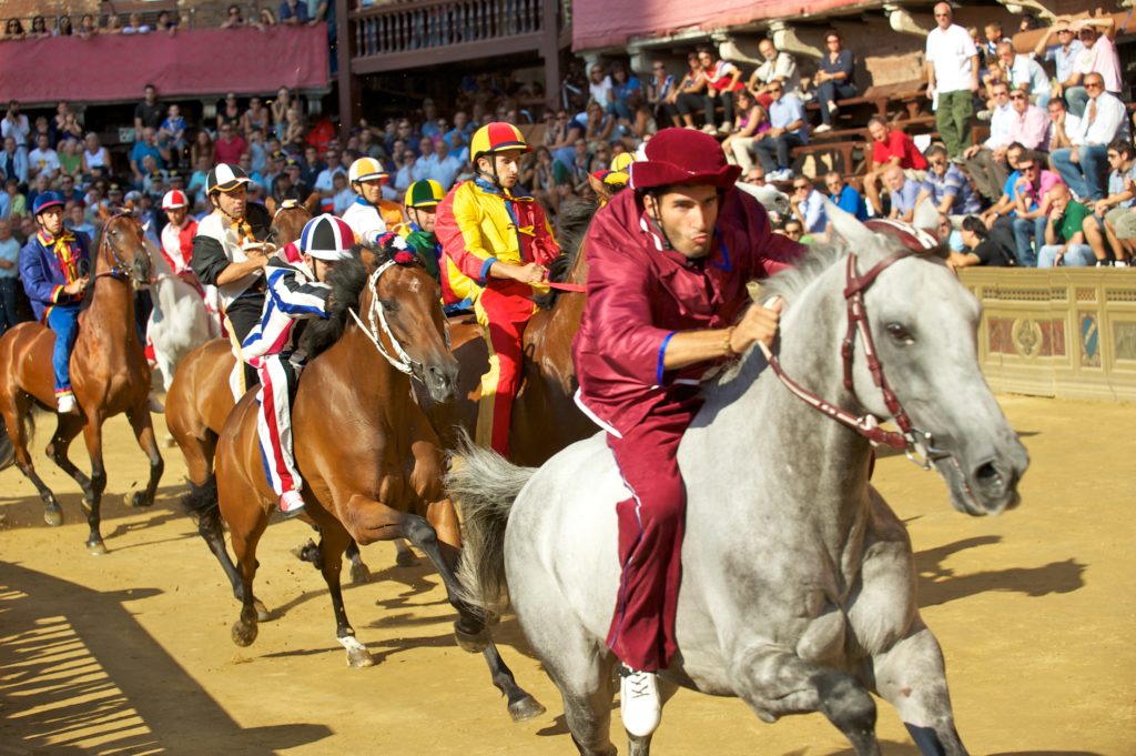 horses racing in the Palio