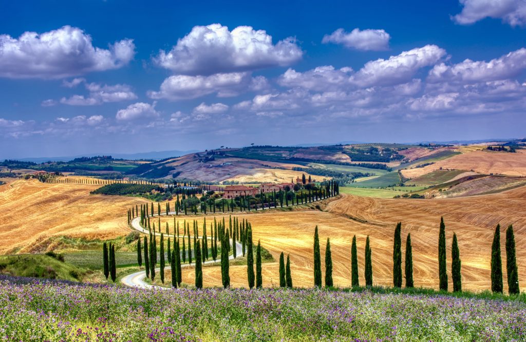 typical landscape with winding roads and cypress tres in the Val d'Orcia