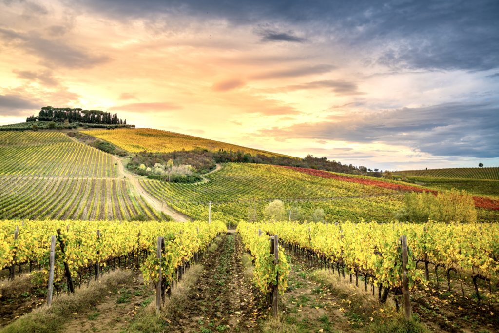 Chianti region in Tuscany, for which I'm doing a Backroads review