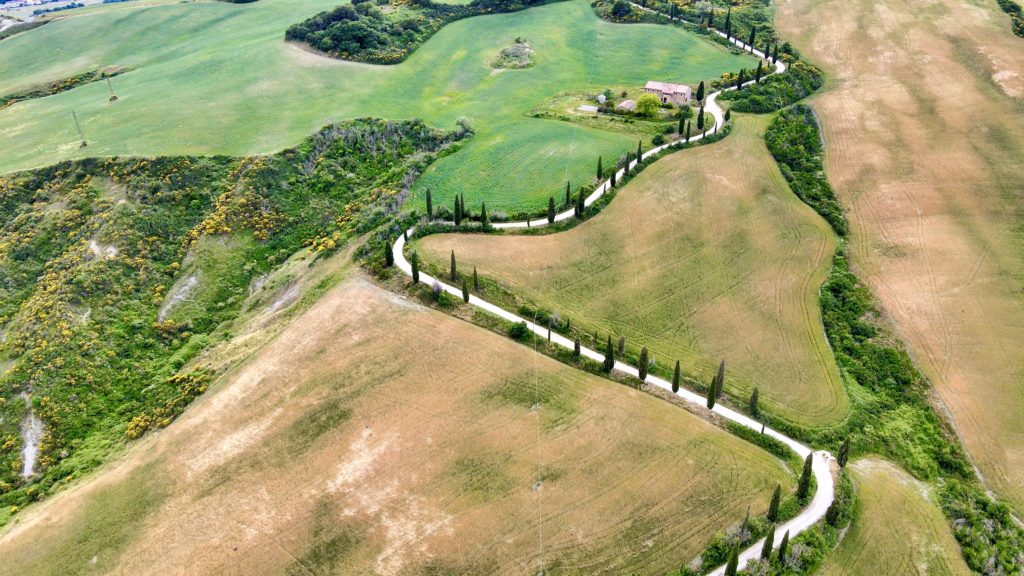 famous cypress hill of Monticchiello