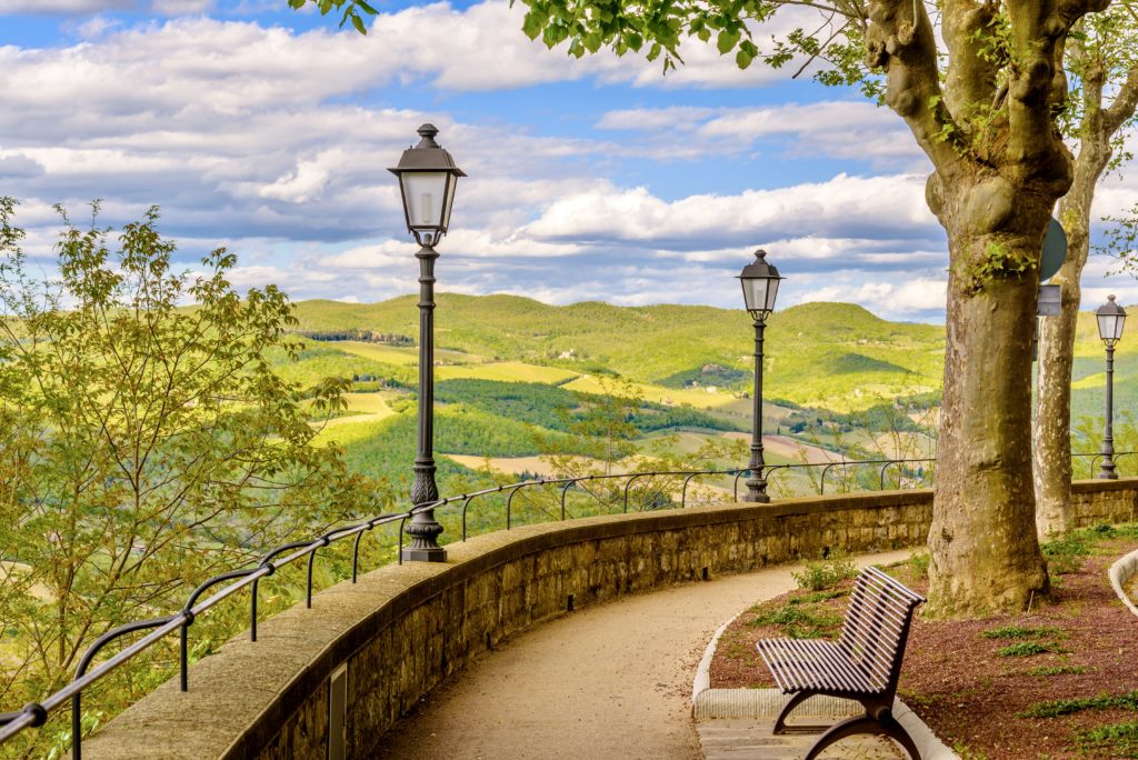 view of the countryside from the town of Radda in Chianti