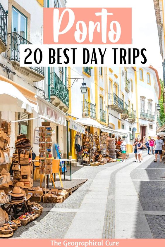 Pinterest pin for best day trips from Porto