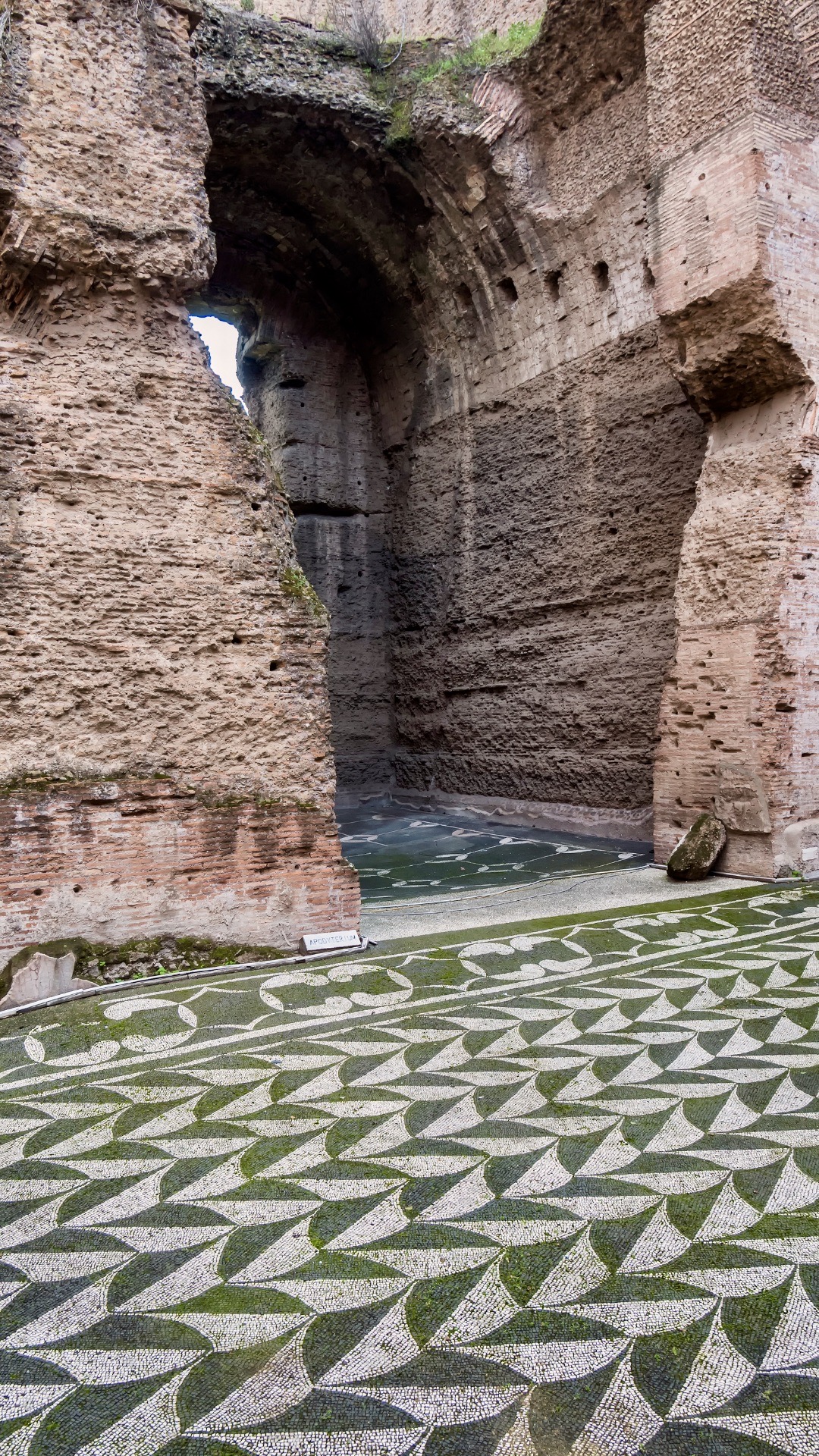 mosaics in the Baths of Caracalla