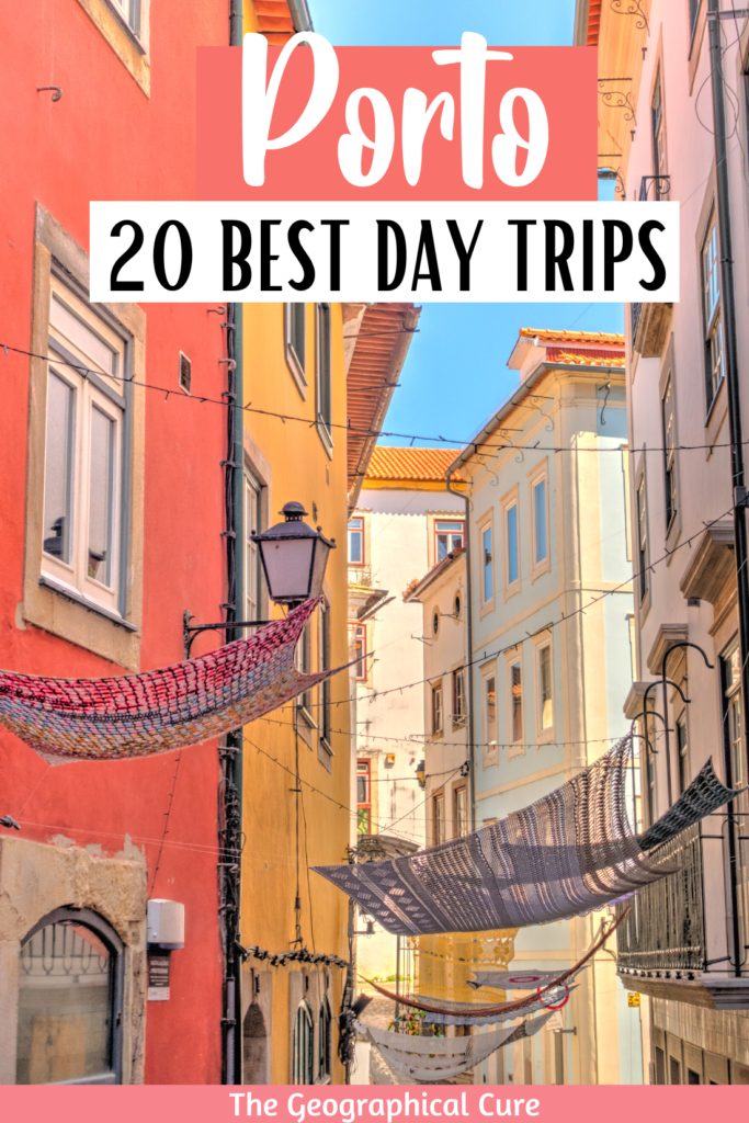 Pinterest pin for best day trips from Porto