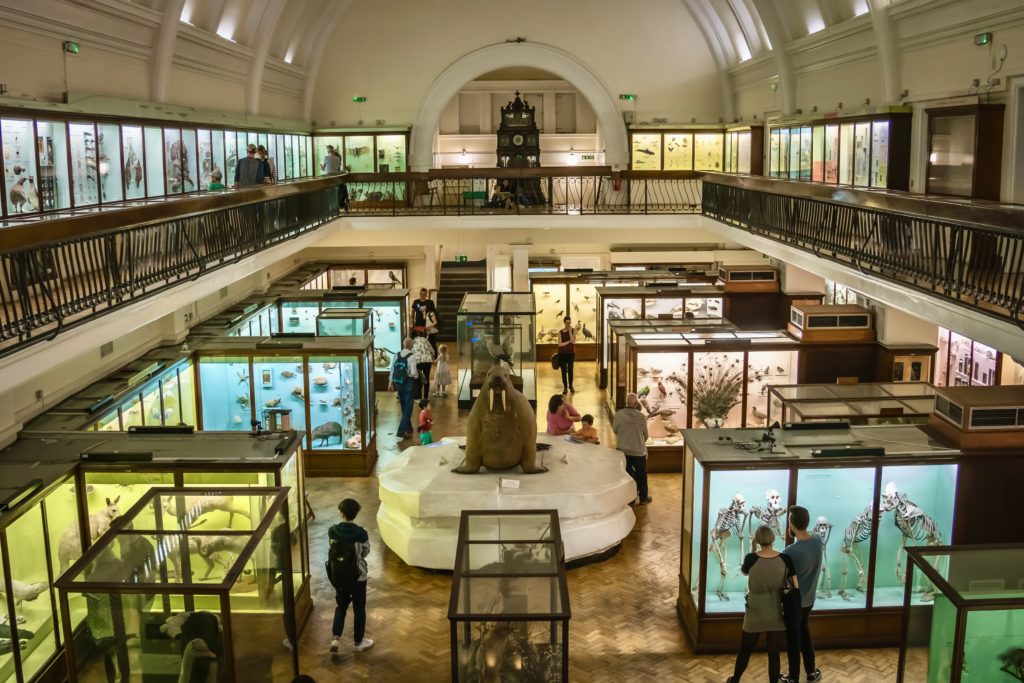 exhibits in the Horniman Museum, a hidden gem in London