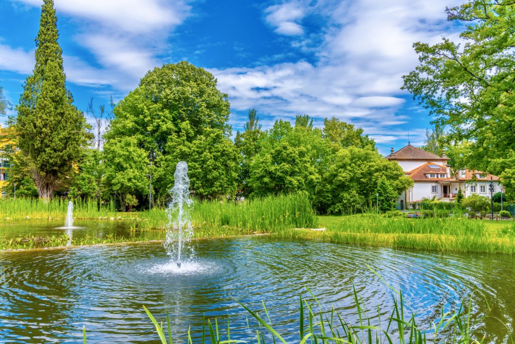 pond at Aquilino Ribeiro Park