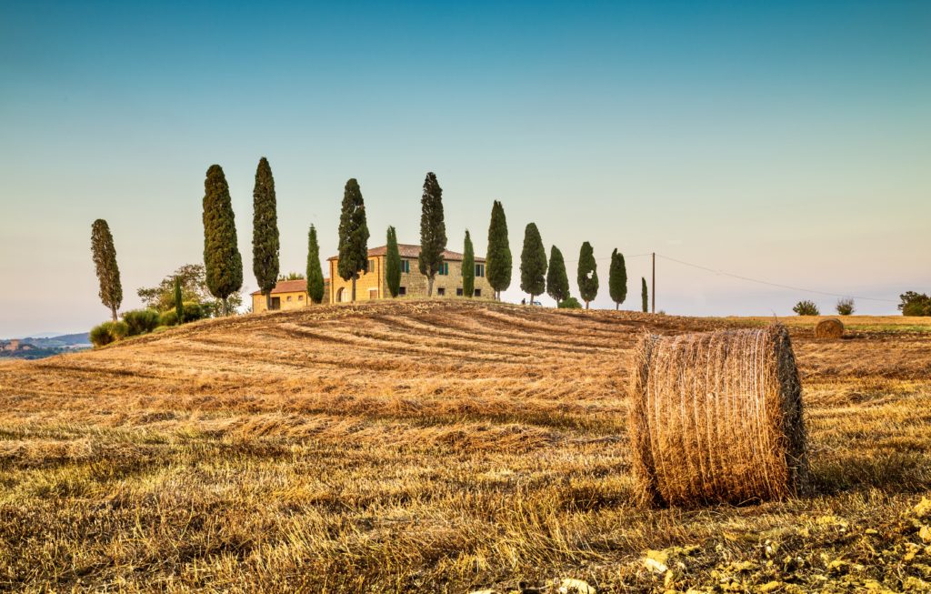 landscape in the Val d'Orcia