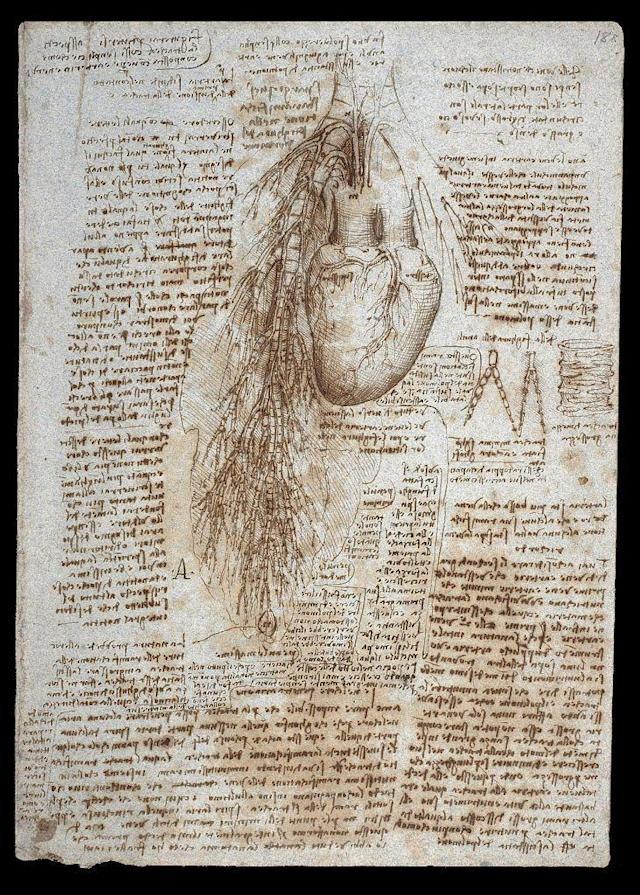 Leonardo da Vinci, Heart Study, 1511-13