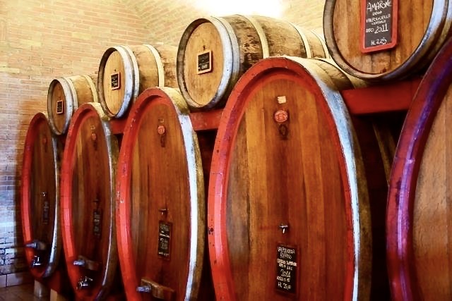 wine barrels at Le Bignele Winery