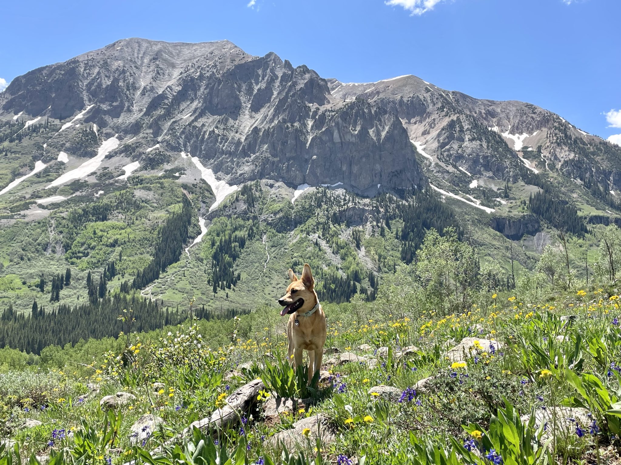Best Things To Do In Crested Butte, Colorado's Idyllic Mountain Town The Geographical Cure