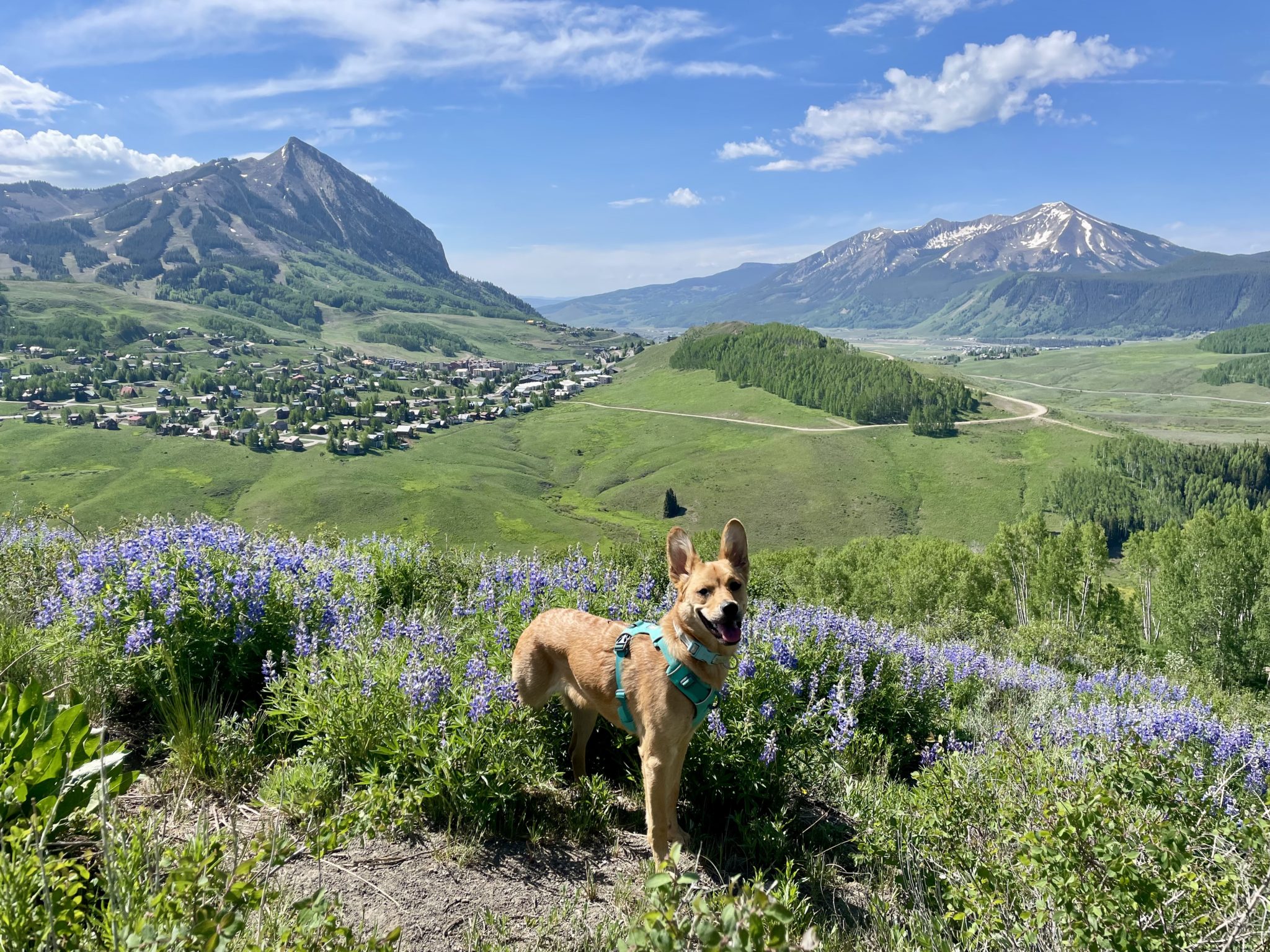 Crested Butte Conditions 31 - 64goa3y