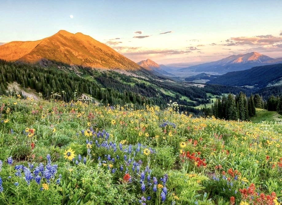 scenic views on Kebler Pass