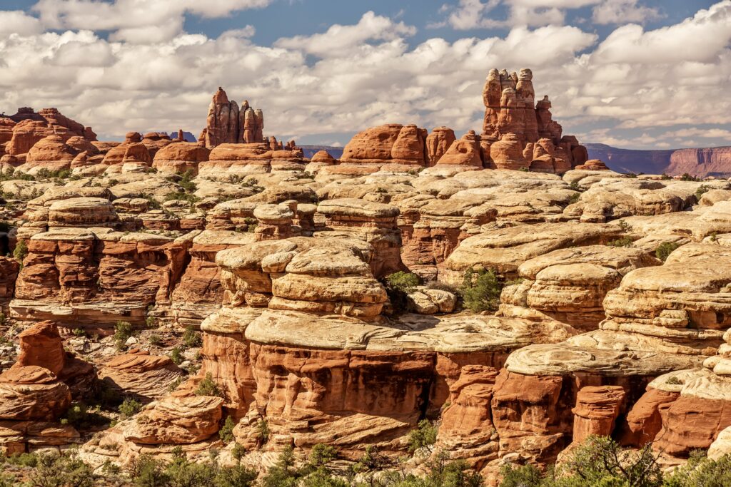 "Needles" in Canyonlands National Park