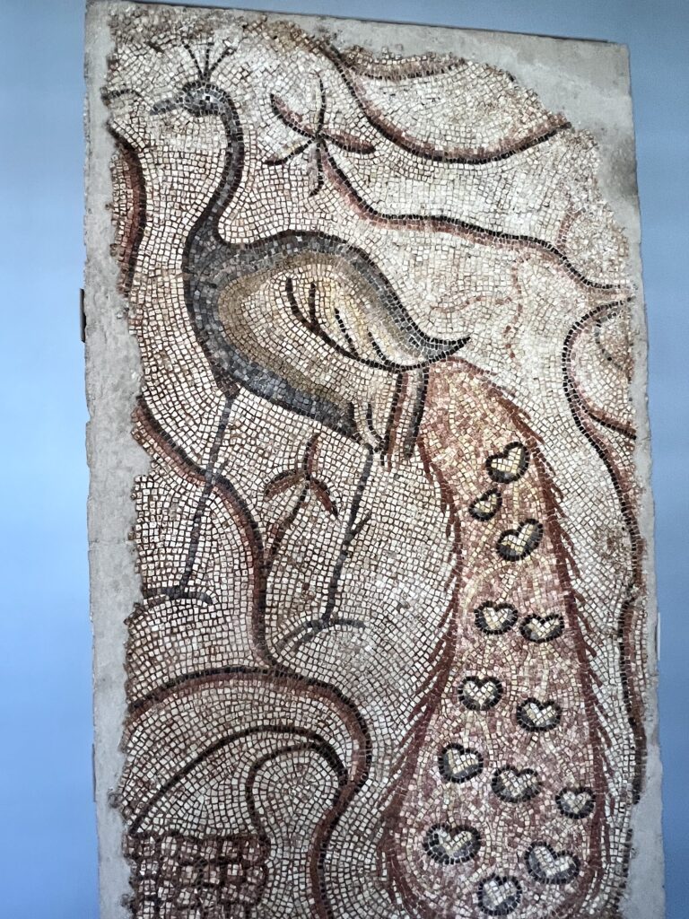 peacock mosaic fragment, 5th-6th century A.D.