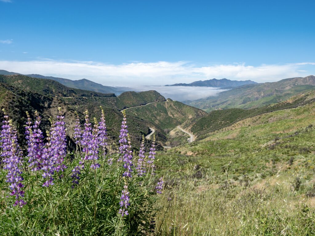 Los Padres National Forest and Lake Casitas
