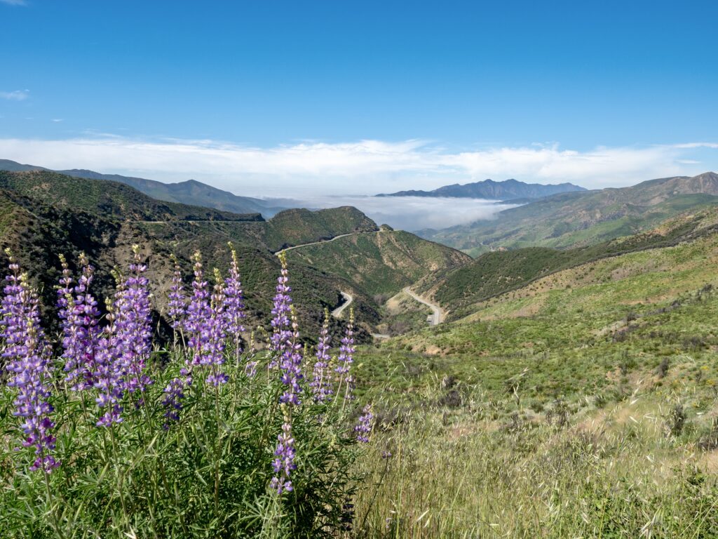 Los Padres National Forest and Lake Casitas