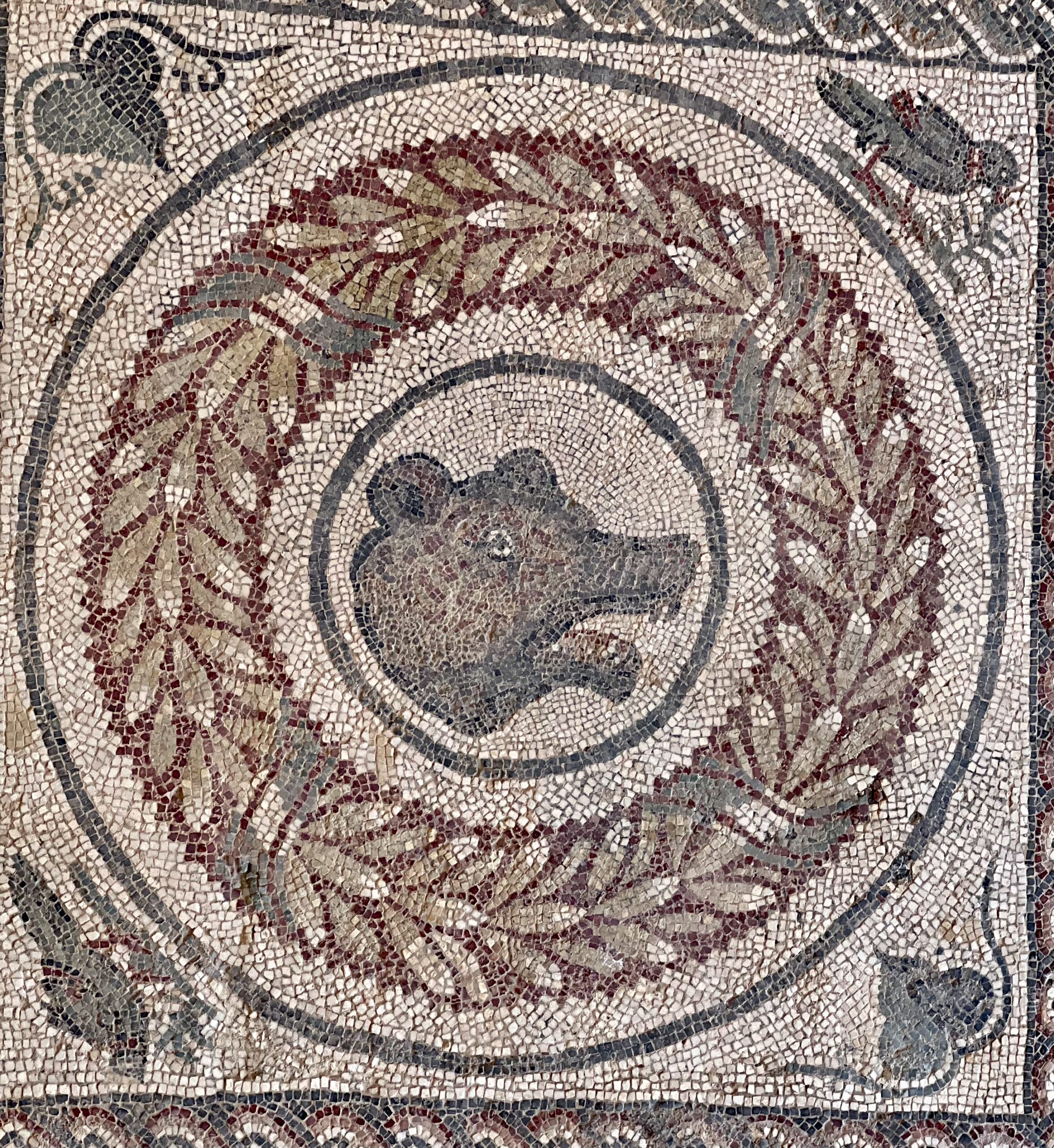 mosaic of a bear in the peristyle