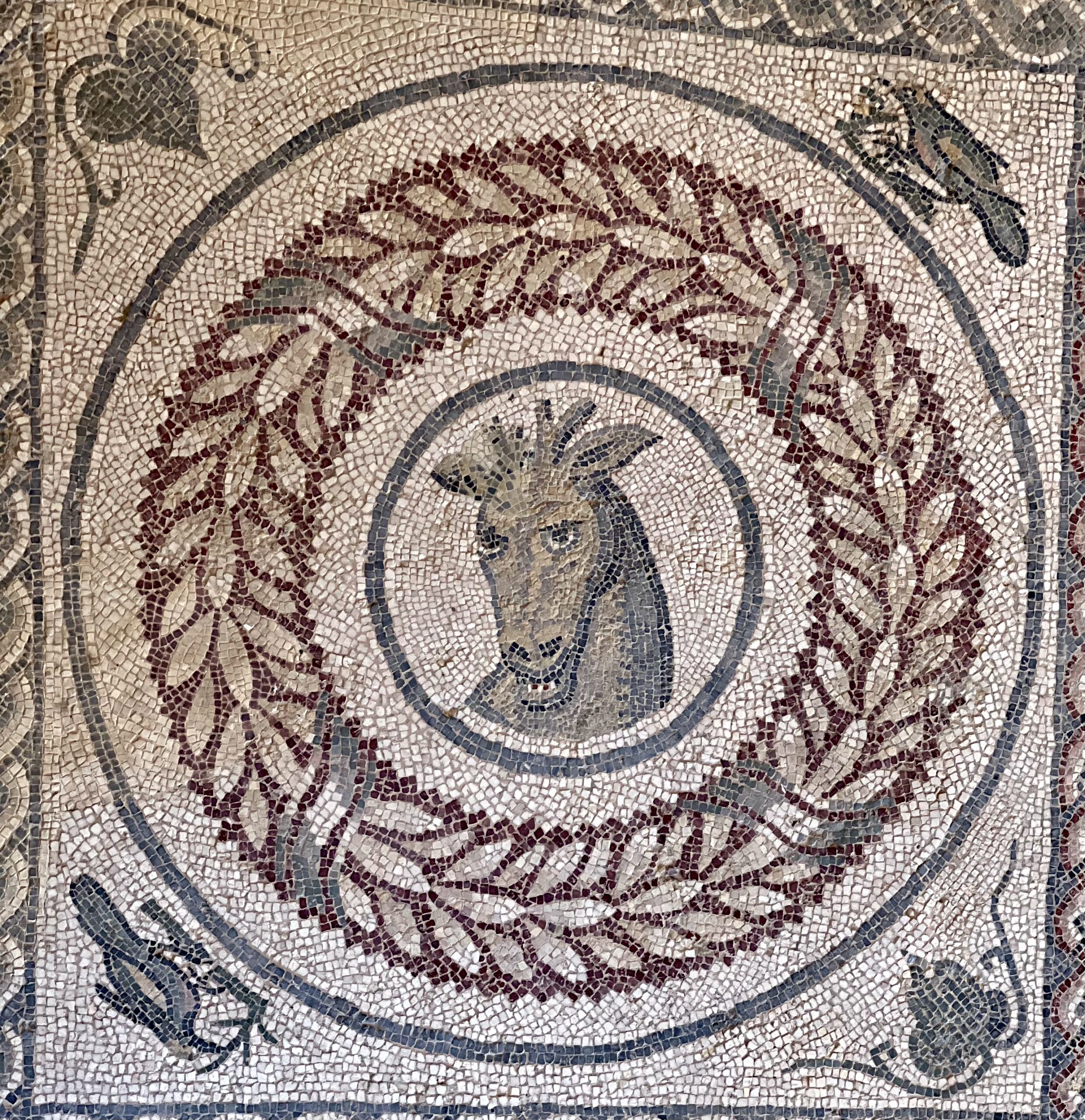 mosaic of a bull in the peristyle