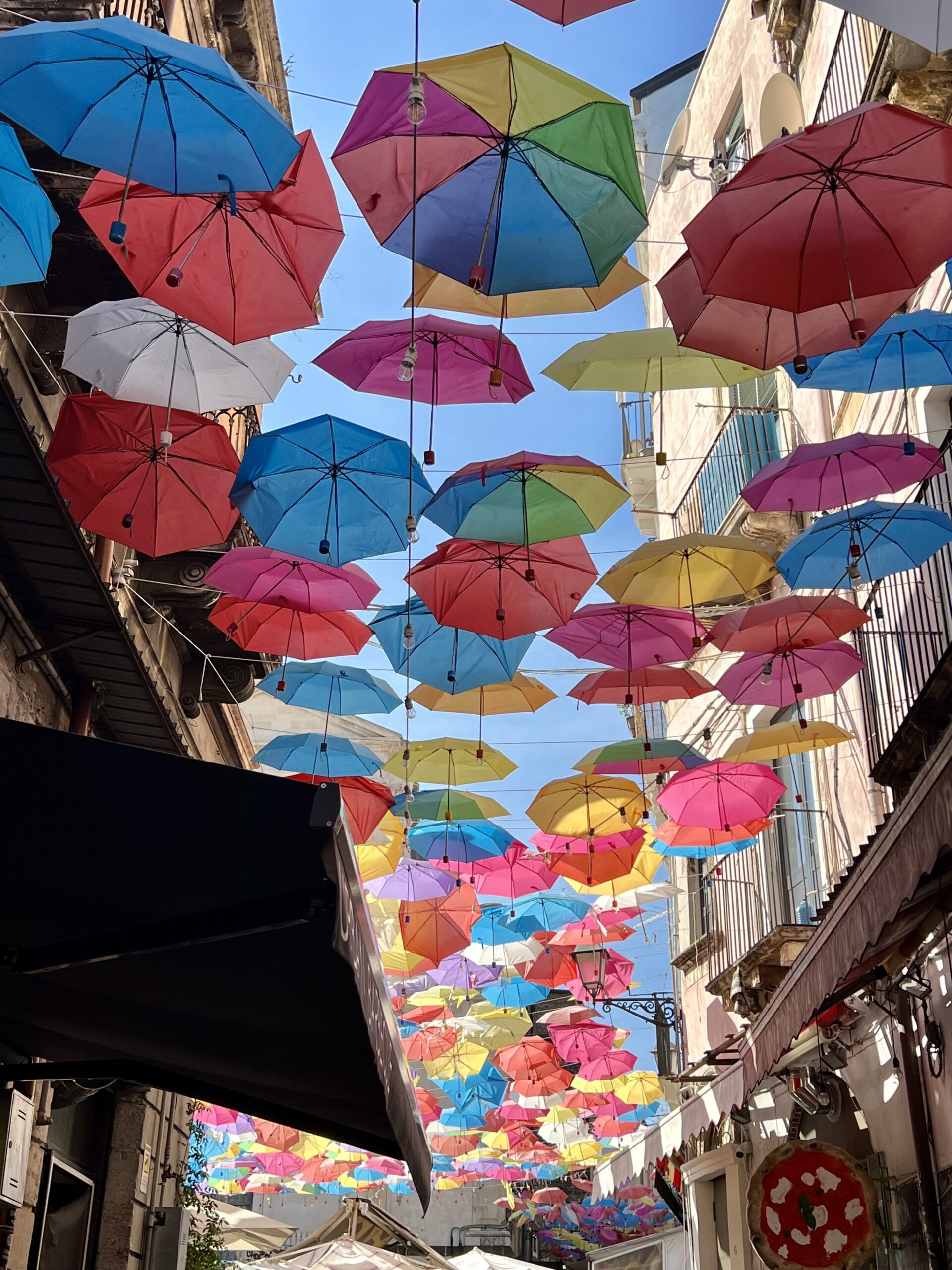 umbrellas covering the fish market