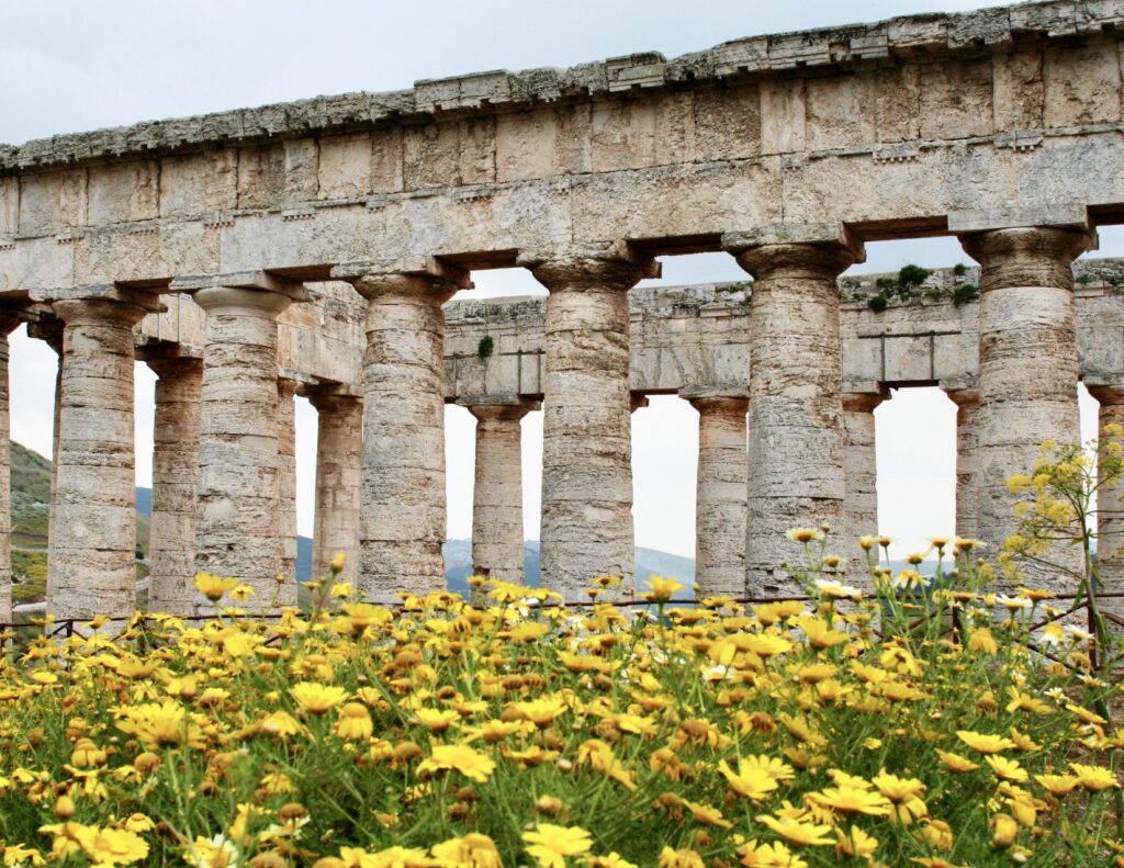 ruins of the Temple of Segesta Sicily with wildflowers