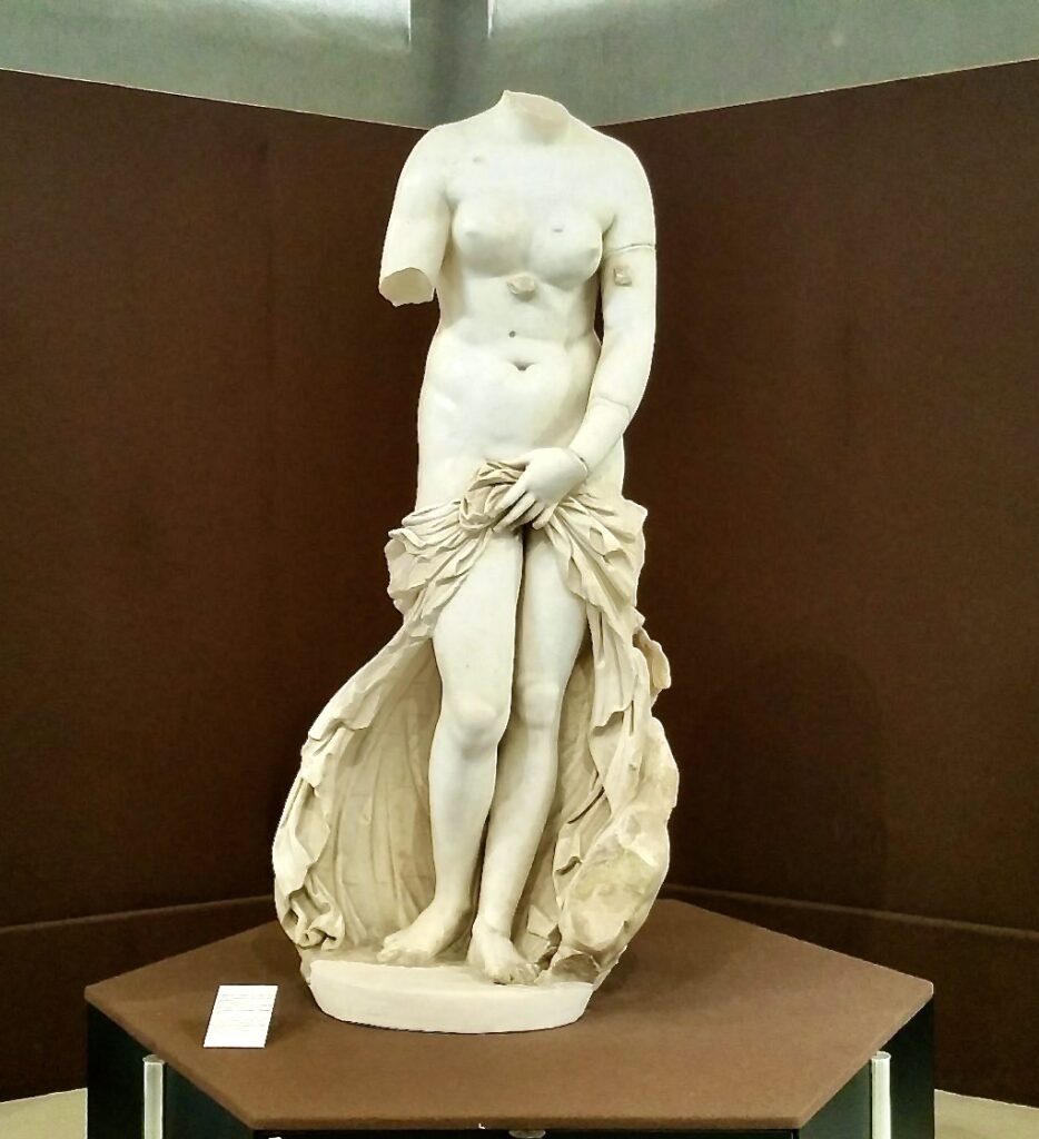 Venus Anadiomeme