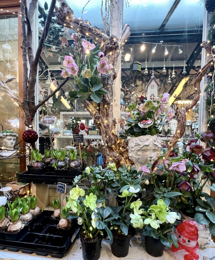 flower shop in the Marche aux Fleures