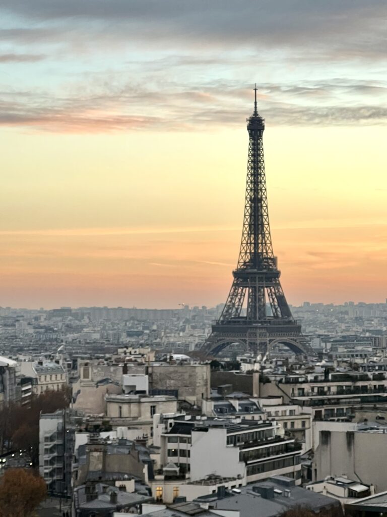 view of the Eiffel Tower from the rooftop