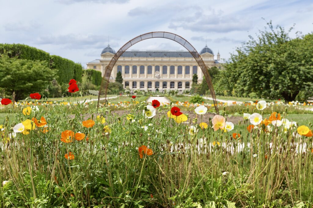 Jardin des Plants