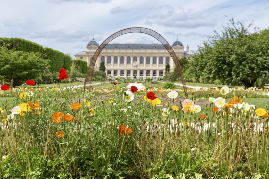 Jardin des Plants and the natural history museum 