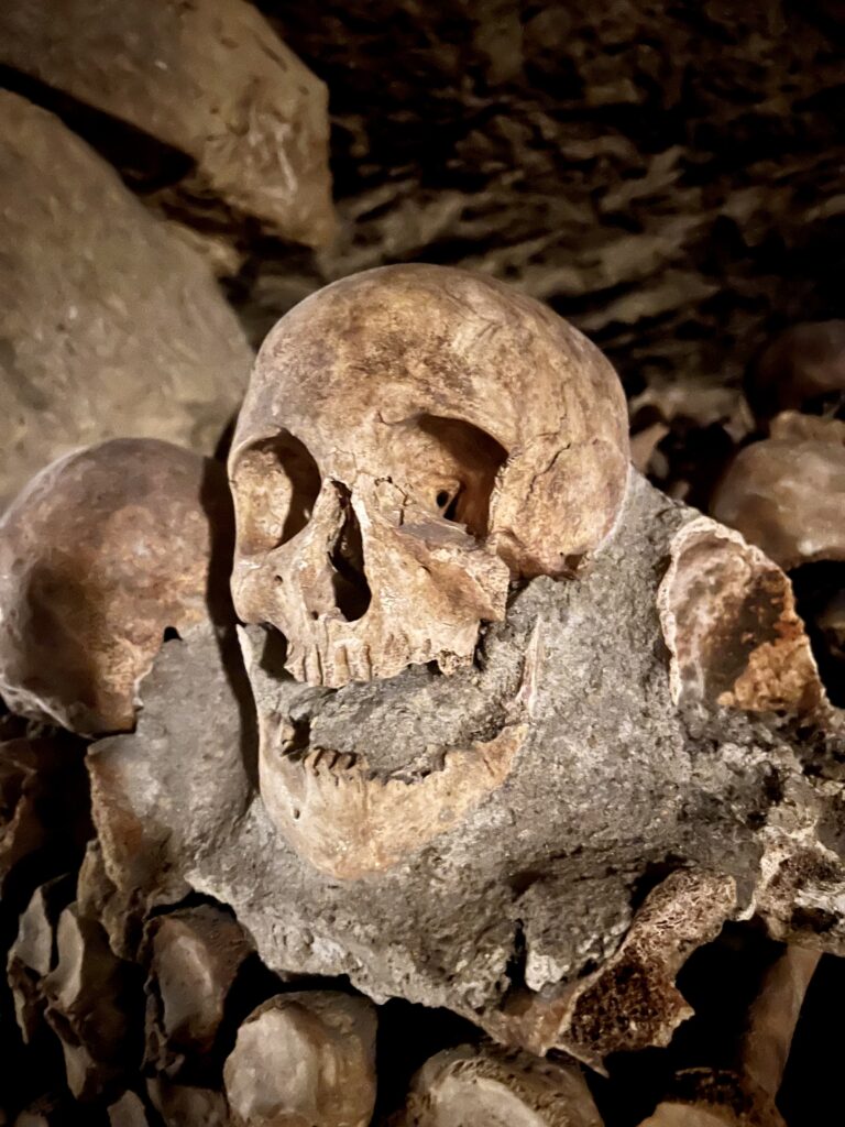 skull in the Catacombs