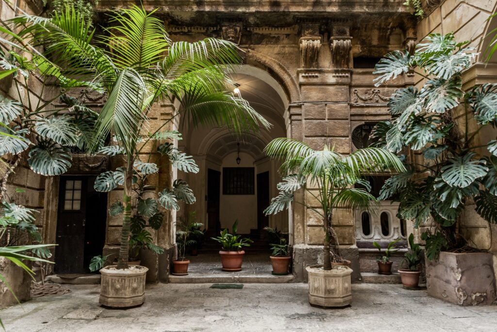 internal courtyard of the Palazzo Conte Federico