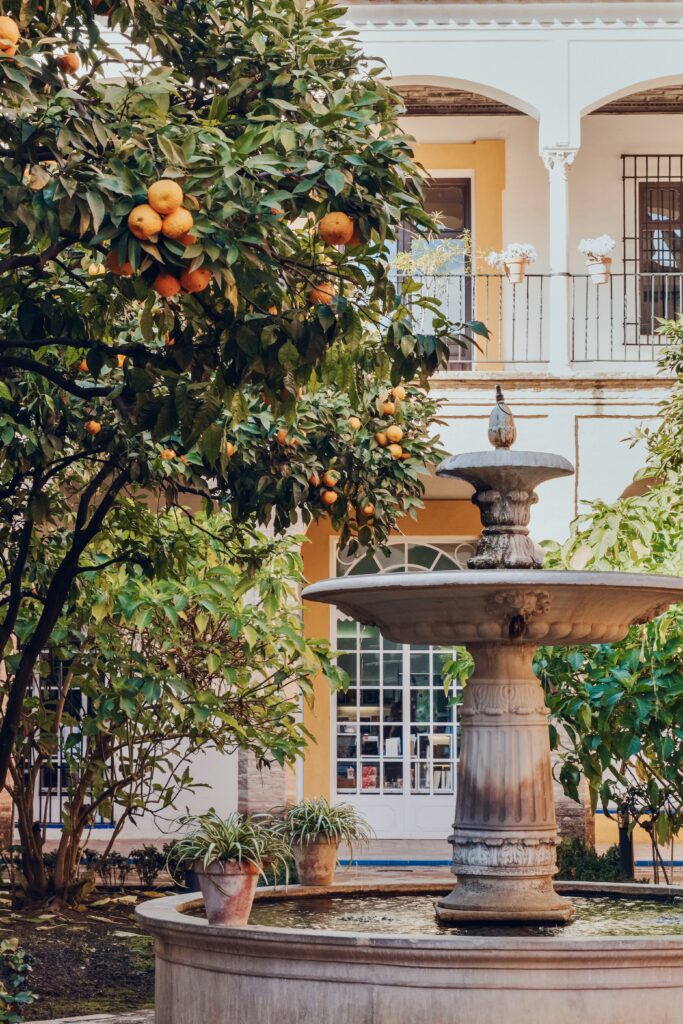 orange trees and fountain in the Alcazar garden