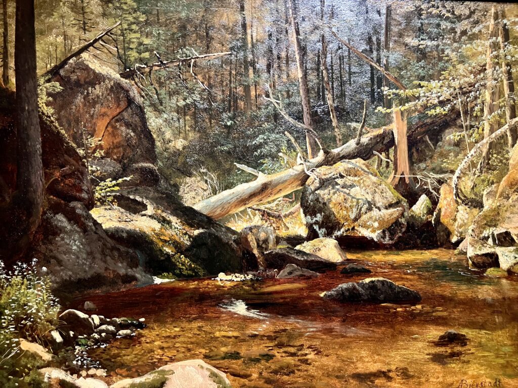 Albert Bierstadt, Rock Pool, New England, 1860