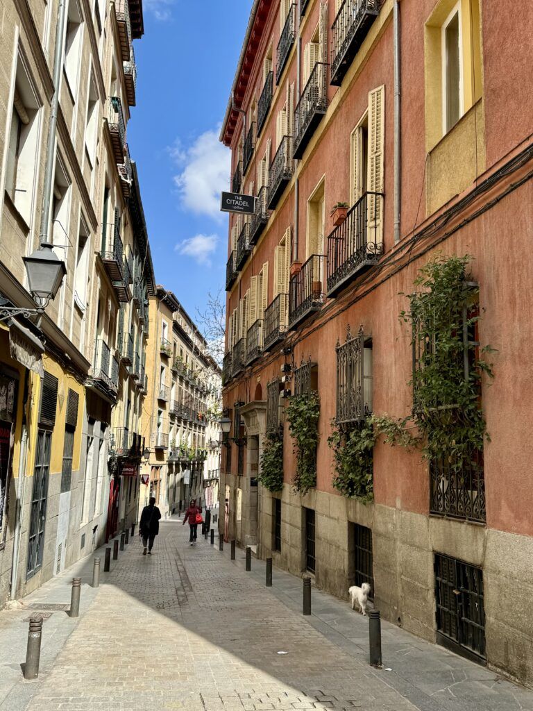 picturesque street in La Latina