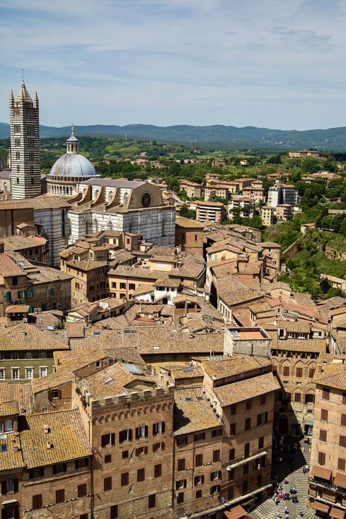 view from the Tower of Mangia