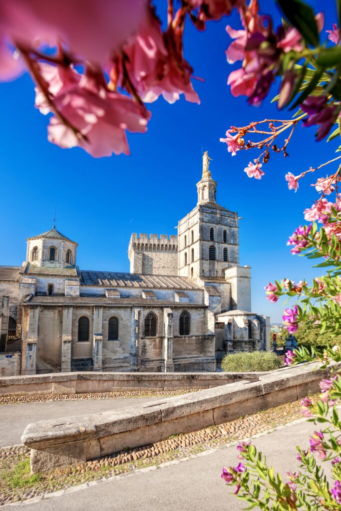 Avignon Cathedral 