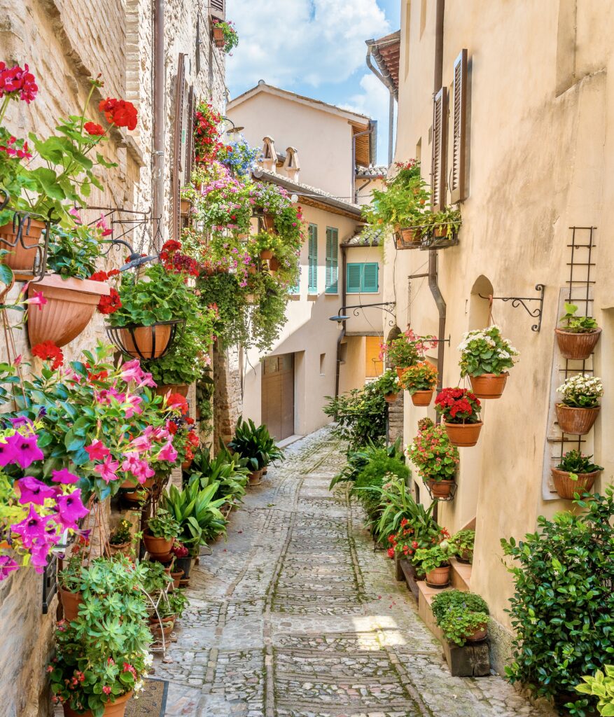 cobbled lane with flowers in Spello