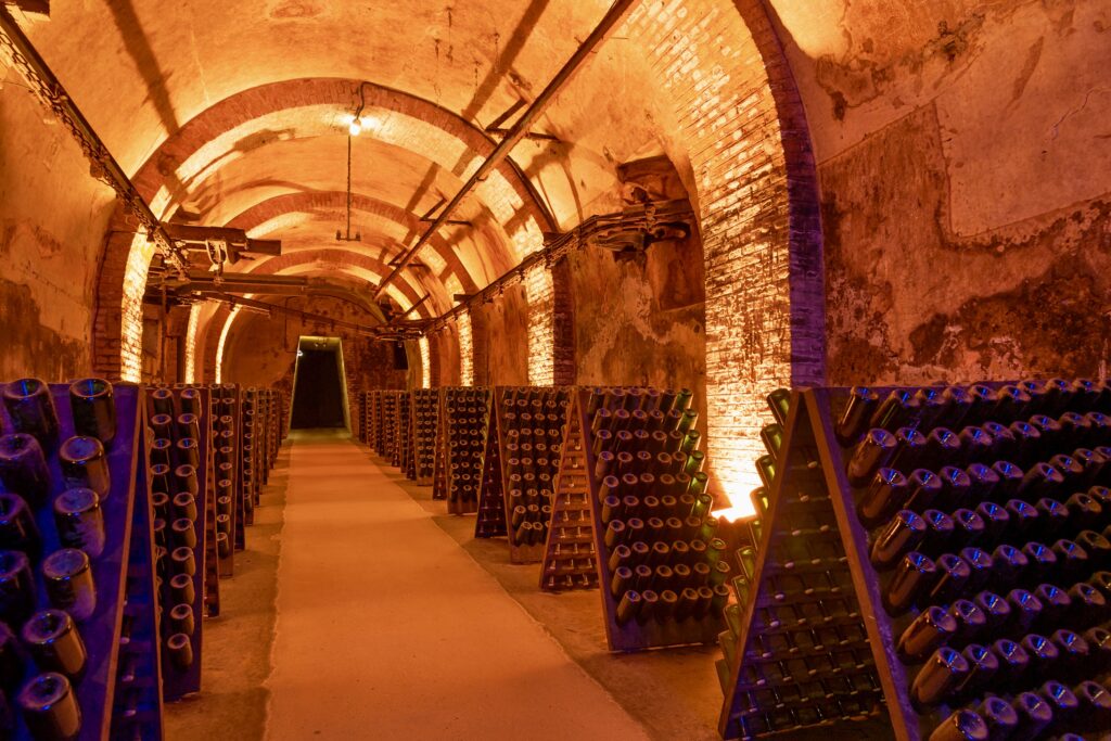 champagne cellar, a must do on any one day in Reims itinerary